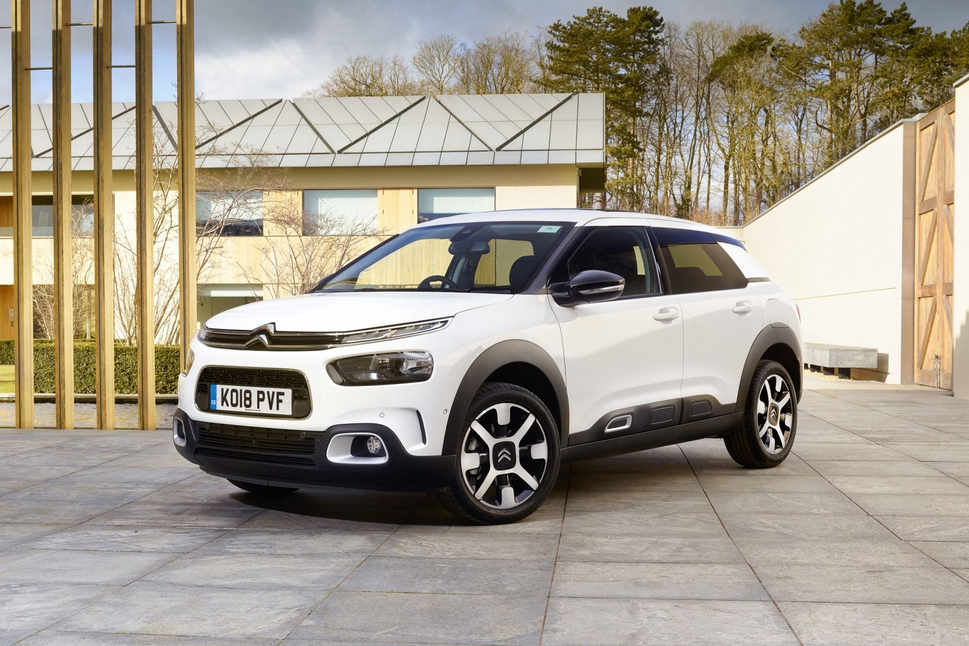 Citroen C4 Cactus - , ,  C4 Cactus  Citroen