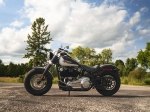  Harley-Davidson Softail Slim 1