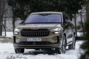 Skoda Kodiaq: ������� ���