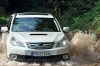 Subaru Outback: -  