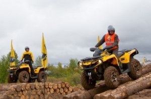 - {MARK} {MODEL}: VIP,  VIP