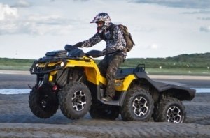 - {MARK} {MODEL}:  -  