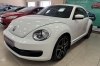 Volkswagen Beetle 2012