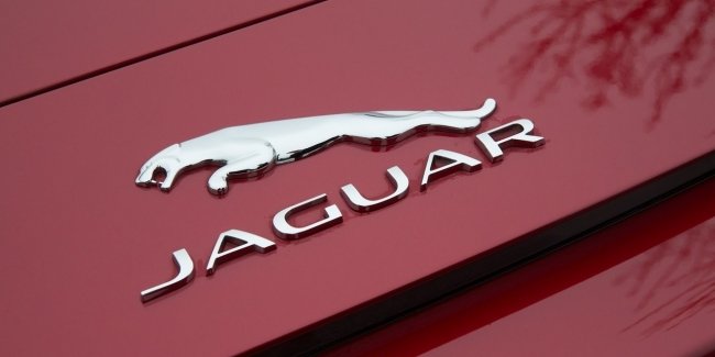 Jaguar    