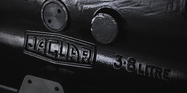 Jaguar     60- 