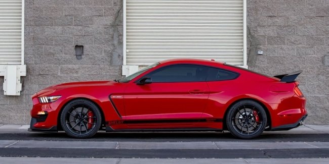Mustang Shelby GT500: ,   !