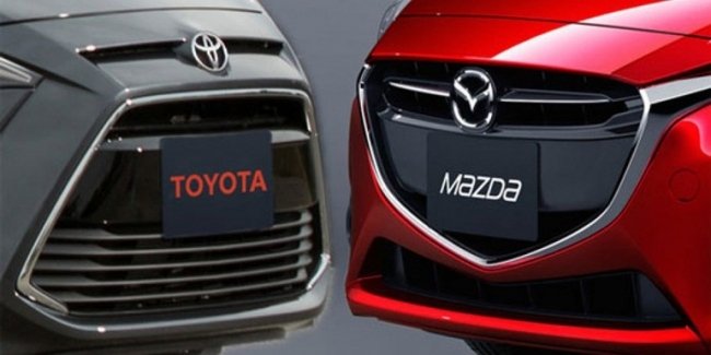 Mazda  Toyota      SUV