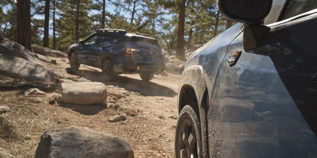   Outback: Subaru   Forester Wilderness