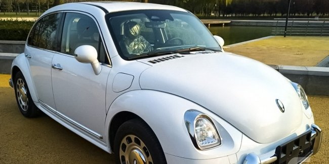  :   Beetle   ,     Volkswagen