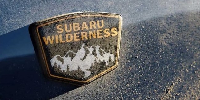 Subaru      Wilderness