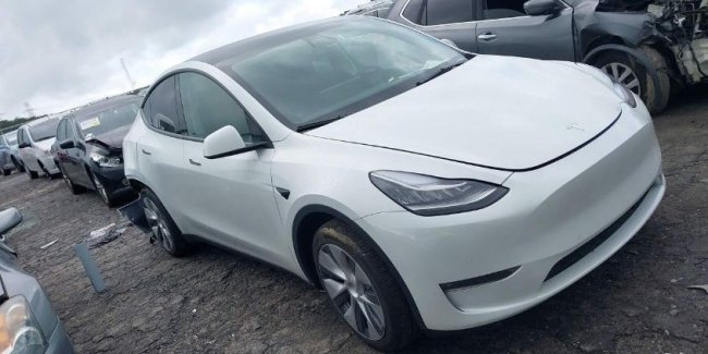 ֳ   Tesla Model Y   20 000 