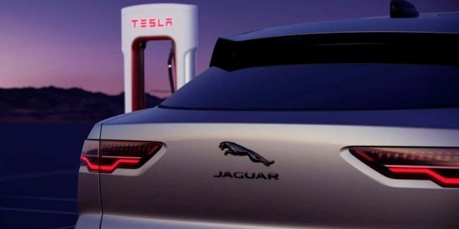 Jaguar     Tesla
