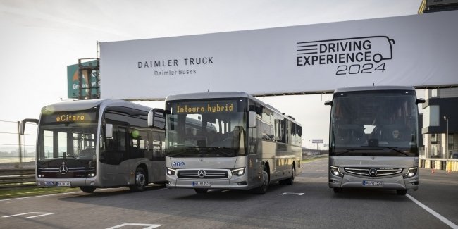 Daimler Buses        䳺