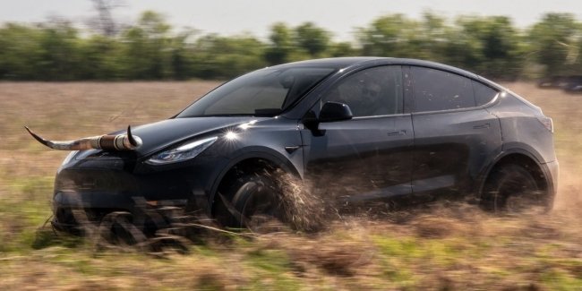  Tesla Model Y     