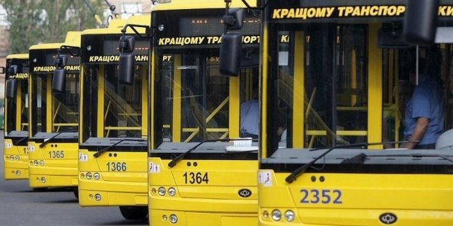 Як перевозити домашніх тварин у громадському транспорті