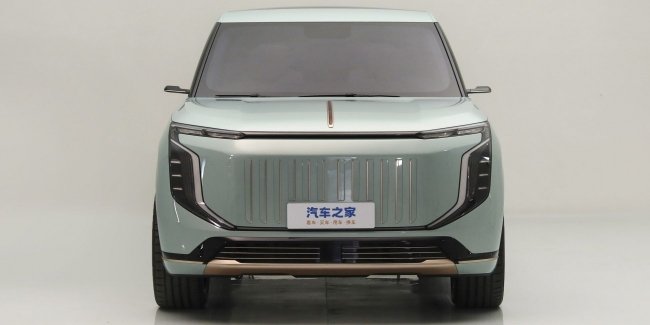  Hongqi    HS9