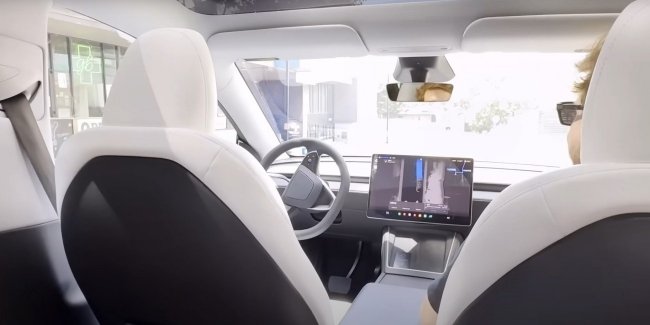 Tesla Robotaxi             