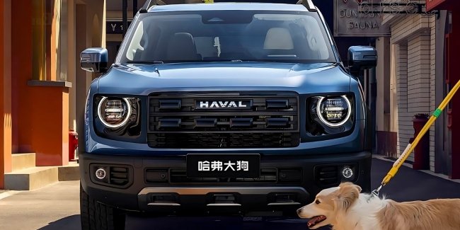 Haval    Dargo