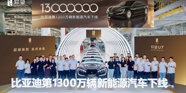  BYD      13-     㳿