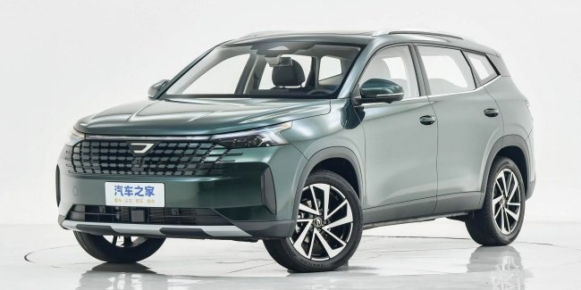 Volkswagen      Tiguan