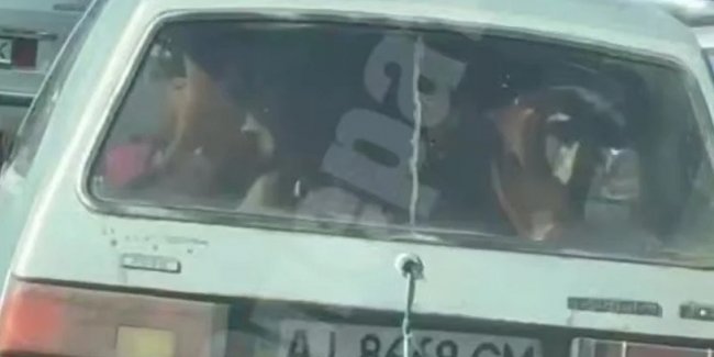 � ������ �������������� ������� ��� ����������� ������ ������ ������