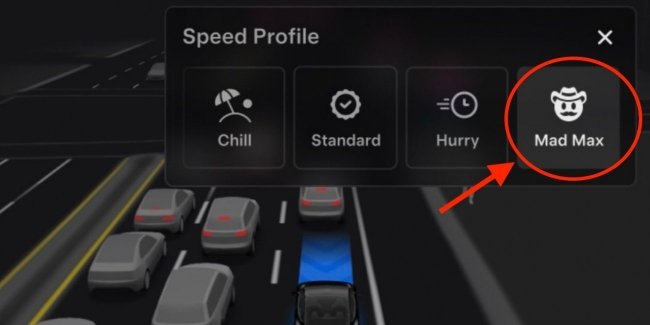 Tesla   Mad Max  FSD