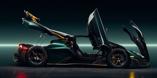 SSC North America  볺    Tuatara