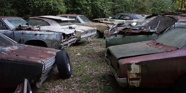 ��������� �������� �������� ���������� ��������� ����⳺ ������ ����