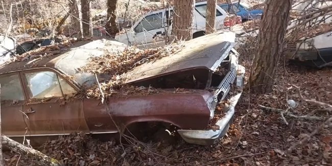 � �� ������� ������ ��������� ������� ���������