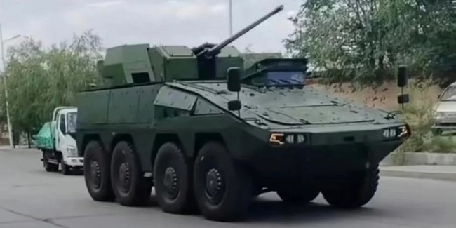 � ���� �������� ���� ���������� ����������������� Boxer