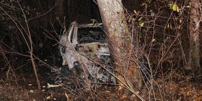 ����� ��������� ���� Tesla �������� 15 ���