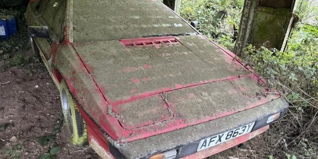 ���������� ����������� �������� 80-� �������� 30 ���� � ����