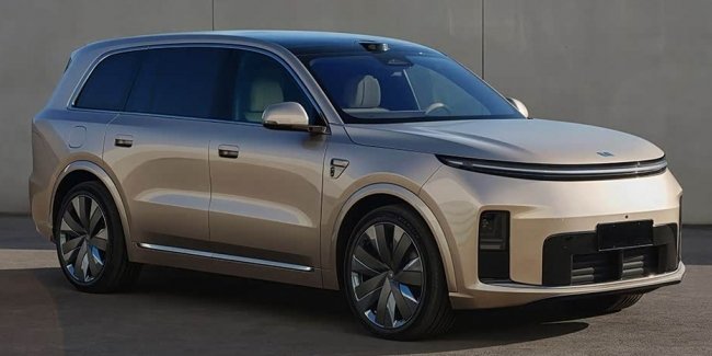 ���������� ̳����� ���������� ��� ���� Li Auto L9 Livis