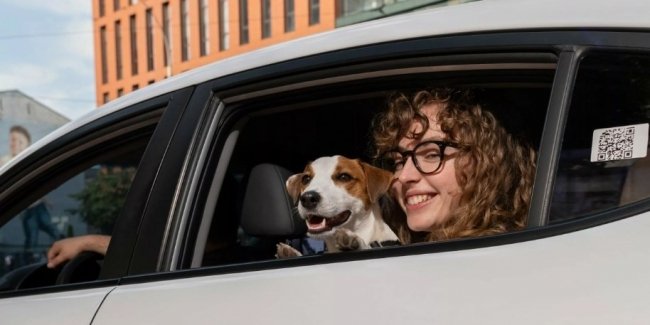 ̳��������� ���� ���������� ����� ����