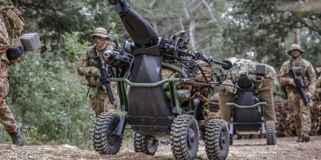 ��������� ���� ��������� ��� Wild Goose