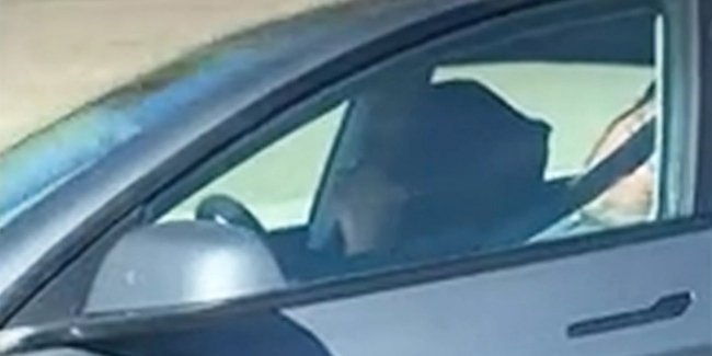 ���� � ������� Tesla ������� �� ������ �� ������ ��������