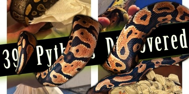 � ��� � ����� ��������� ������� ������� ������