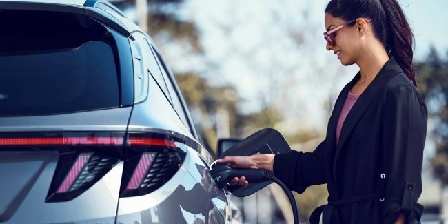 ����� ����� ��������� � ��������� �������� �����������