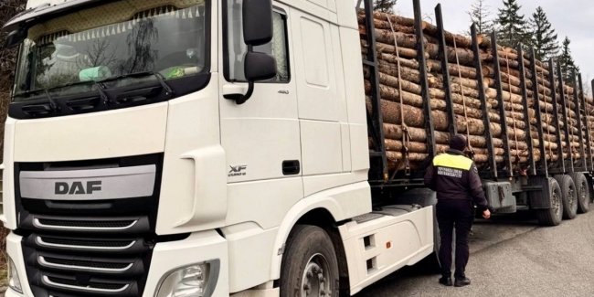 �� ������� �������� �������� �������� ���������� ������������ ���������-������� ����