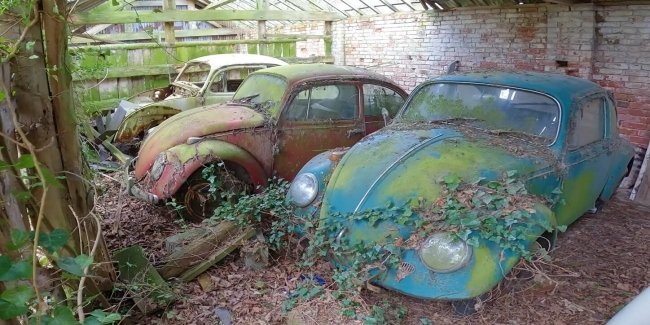 �� ����������� ����� ������� �������� �������� Volkswagen