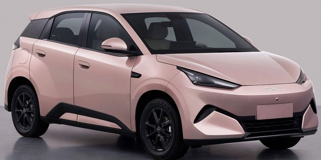 BYD ���� ����� �������������� Great Seagull