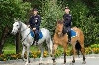 В Киеве появятся конные и мотопатрули полиции