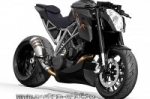  Speed Bull  Custom Wolf