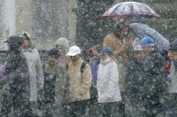 Непогода в Украине: обесточены почти 400 населенных пунктов