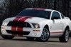 Mustang    Shelby