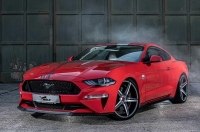   Ford Mustang  Wolf Racing