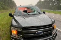       Ford F-150 ()