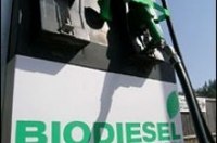В Харьковской области будут делать биодизель