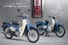 Honda      Super Cub