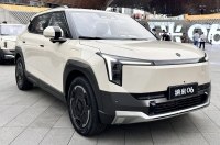     Dongfeng Nammi 06